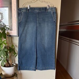 Torrid Blue Denim Jeans